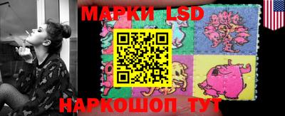 индика Донецк