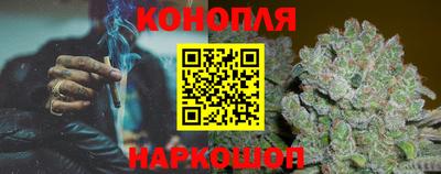 индика Дубна