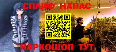 индика Дубна