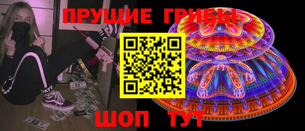 Людиново  Псилоцибиновые грибы Cubensis  Вход с VPN 